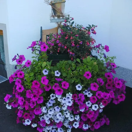 Daire Biechl-hauser Doris *