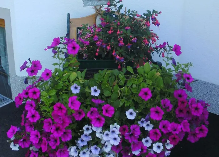 Apartment Biechl-hauser Doris *